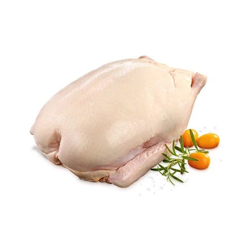 Peru e Pato - Dos Anjos UK